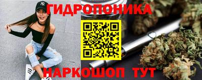 Альфа ПВП Лесосибирск