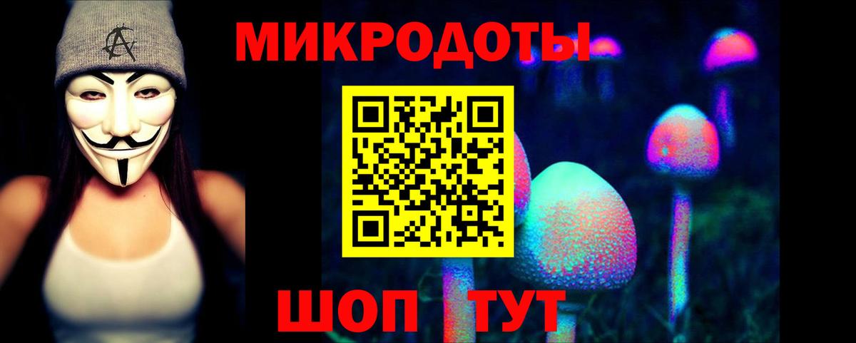 Галлюциногенные грибы Psilocybine cubensis Гусиноозёрск